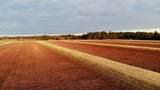 N7050 Highway 12 And 16 - Photo 20