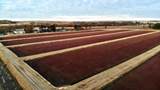 N7050 Highway 12 And 16 - Photo 23