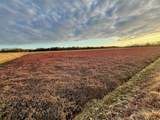 N7050 Highway 12 And 16 - Photo 26