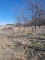 Approx 9 acres Highway 35/61 - Photo 5