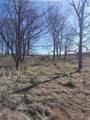 Approx 9 acres Highway 35/61 - Photo 7