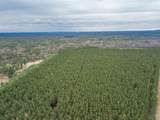 65 AC County Road G - Photo 10