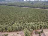 65 AC County Road G - Photo 3