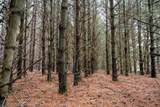 65 AC County Road G - Photo 5