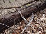 151.68+/- Acres Rattlesnake Road - Photo 18