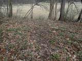 151.68+/- Acres Rattlesnake Road - Photo 22