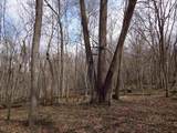 151.68+/- Acres Rattlesnake Road - Photo 26