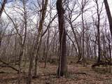 151.68+/- Acres Rattlesnake Road - Photo 28