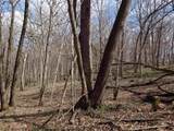 151.68+/- Acres Rattlesnake Road - Photo 32