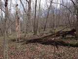 151.68+/- Acres Rattlesnake Road - Photo 38