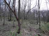 151.68+/- Acres Rattlesnake Road - Photo 46