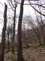 151.68+/- Acres Rattlesnake Road - Photo 48
