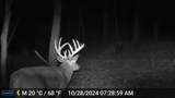 151.68+/- Acres Rattlesnake Road - Photo 5
