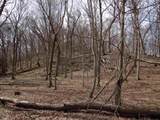 151.68+/- Acres Rattlesnake Road - Photo 54