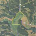 151.68+/- Acres Rattlesnake Road - Photo 7