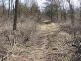 10.45 Acres Ringhand Rd - Photo 72