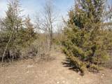 10.45 Acres Ringhand Rd - Photo 73