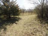 10.45 Acres Ringhand Rd - Photo 76