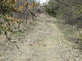 10.45 Acres Ringhand Rd - Photo 78
