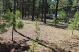 2054 Wisconsin Street - Photo 13