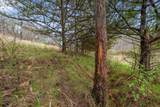 36480 Bouska Road - Photo 23