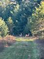 25 Acres Sawmill Road - Photo 19