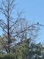 25 Acres Sawmill Road - Photo 28