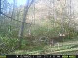 31821 Highway 131 - Photo 43