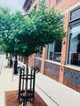 322 Henry Street - Photo 1