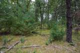 Lot 46 Fern Lane - Photo 11