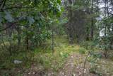 Lot 46 Fern Lane - Photo 13