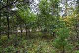 Lot 46 Fern Lane - Photo 15