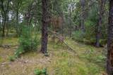 Lot 46 Fern Lane - Photo 17