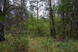Lot 46 Fern Lane - Photo 19