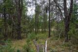 Lot 46 Fern Lane - Photo 20