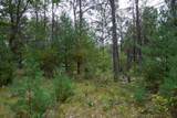 Lot 46 Fern Lane - Photo 24