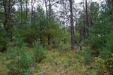 Lot 46 Fern Lane - Photo 25