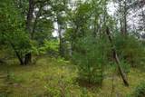 Lot 46 Fern Lane - Photo 26