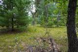 Lot 46 Fern Lane - Photo 28