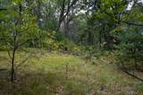 Lot 46 Fern Lane - Photo 29
