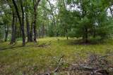 Lot 46 Fern Lane - Photo 9