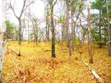 2482 Wilderness Trail - Photo 10