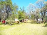 2482 Wilderness Trail - Photo 13