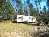 2482 Wilderness Trail - Photo 14