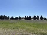 Lot TBD Harding Avenue - Photo 12