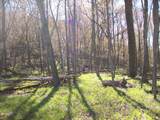  Highway 73 - Photo 19