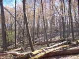  Highway 73 - Photo 21
