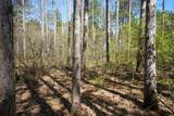 Lot 186 Timber Trail - Photo 21