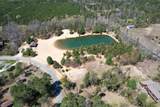 Lot 186 Timber Trail - Photo 31