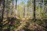 Lot 186 Timber Trail - Photo 4